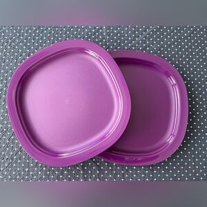 Tupperware microwave safe luncheon plate set 2
